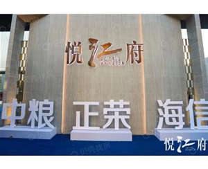 蚌埠南京悦江府项目